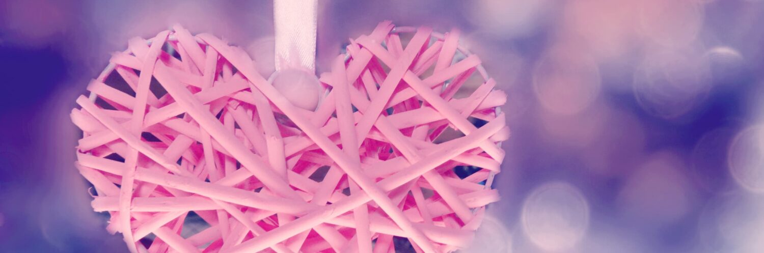 Asian Party Girl Escort